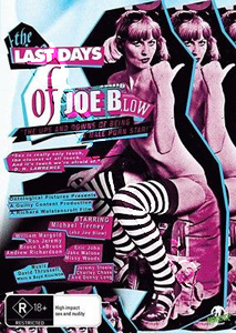 The Last Days of Joe Blow |   DVD